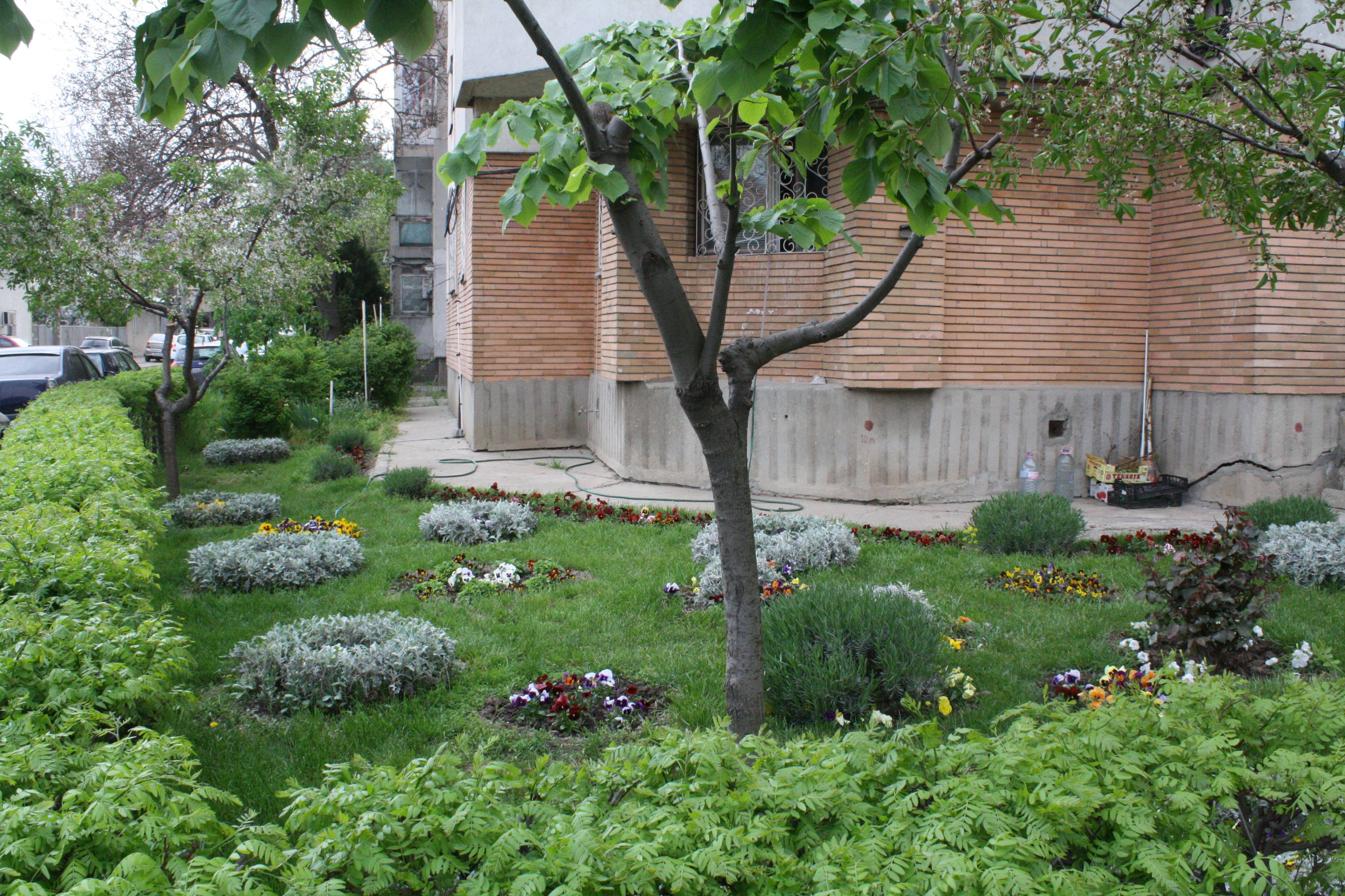 Cum sa tundeti pomii si plantele de gradina ca un profesionist?